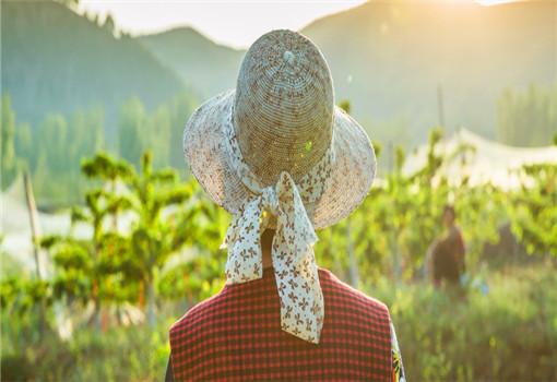 鄉(xiāng)村健康養(yǎng)生產(chǎn)業(yè)的客戶(hù)群體有哪些？它有什么開(kāi)發(fā)要點(diǎn)？