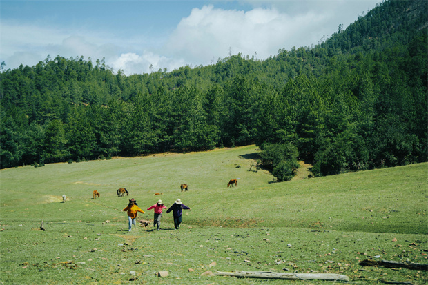 云南旅游,云南旅行社,云南團(tuán)建公司,云南策劃公司,云南會(huì)議會(huì)展,云南旅游地接,怒江旅游,怒江旅行社,怒江團(tuán)建公司,怒江策劃公司：“被羅古箐的山野擁抱、滌凈，再神清氣爽地回去”
