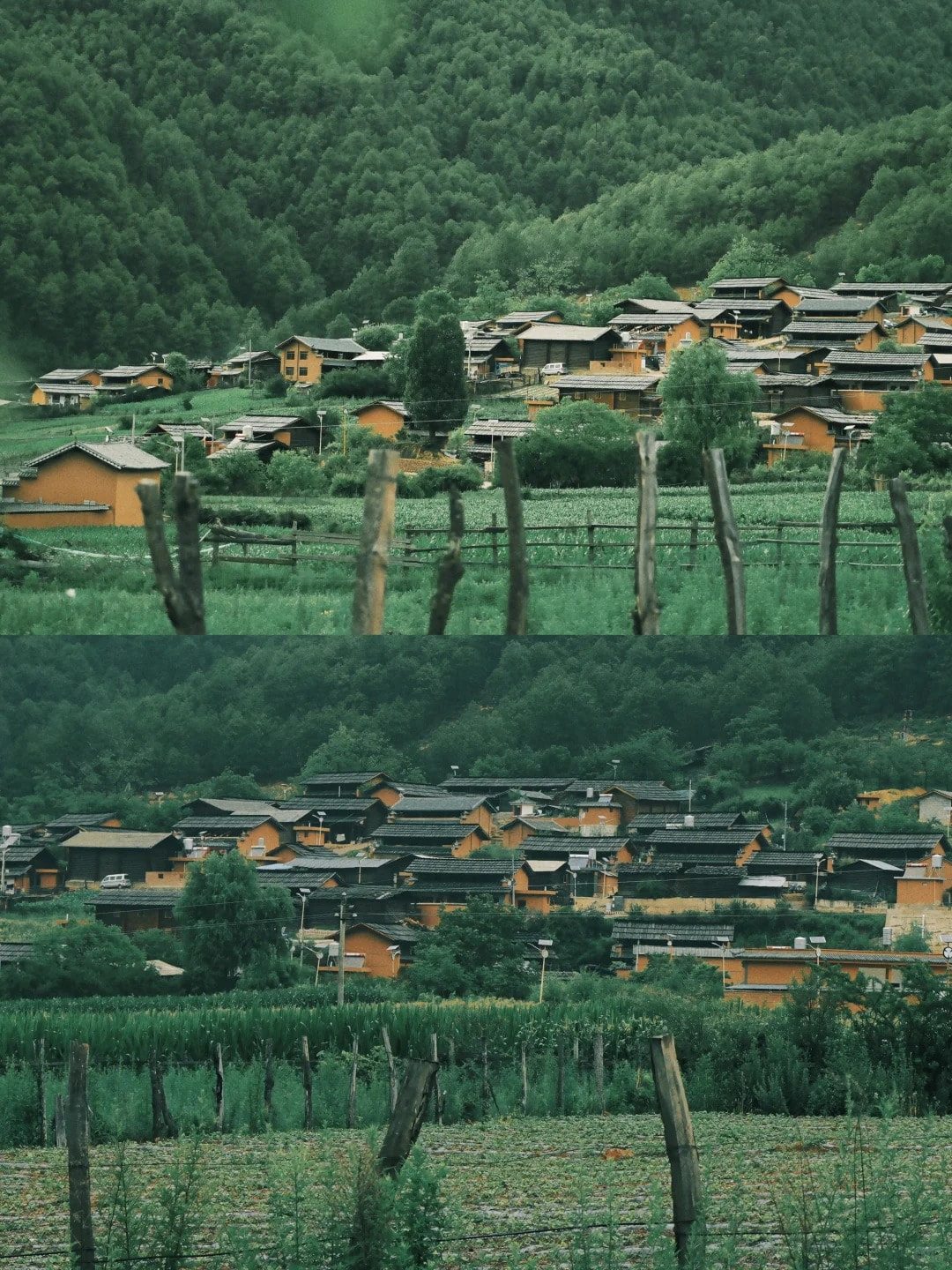 云南旅游,云南旅行社,云南團(tuán)建公司,云南策劃公司,云南會(huì)議會(huì)展,云南旅游地接,怒江旅游,怒江旅行社,怒江團(tuán)建公司,怒江策劃公司：云南超冷門(mén)徒步秘境——怒江羅古箐